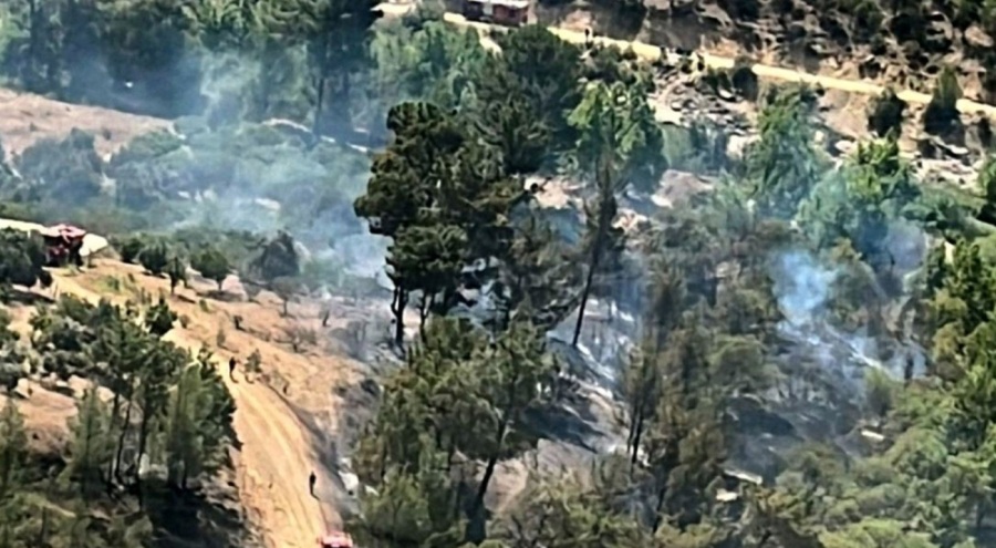 Mersin'de çıkan orman yangını kontrol altına alındı