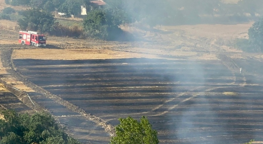 Tekirdağ'da 200 dekar tarım alanı küle döndü