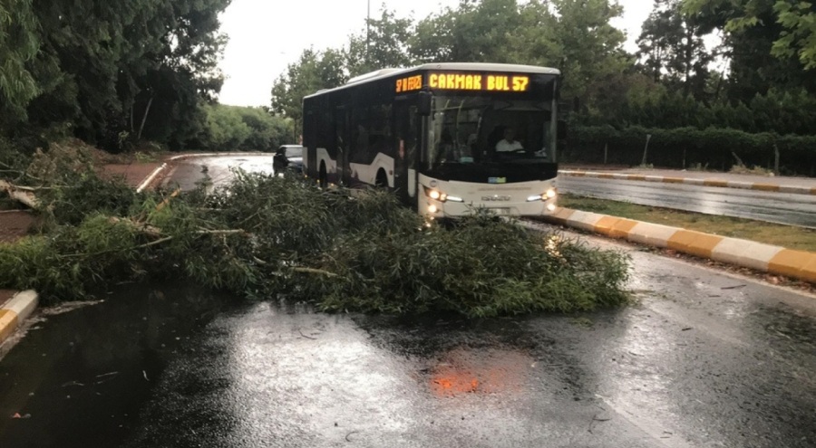 Şanlıurfa'da fırtınada ağaçlar devrildi, yollar göle döndü
