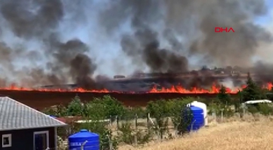 Ankara'da yangın: 100 dönüm arpa ve buğday yandı