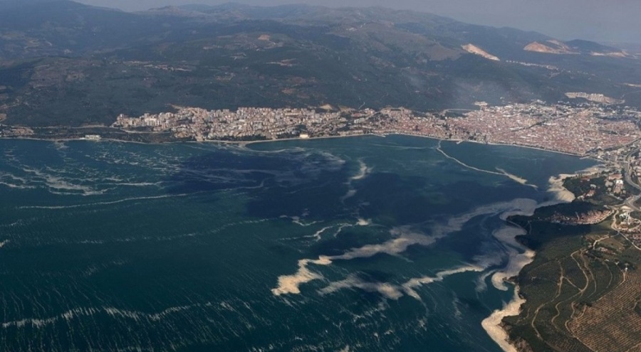 Uzmanından kritik uyarı: Marmara'da ekolojik felaket kapıda
