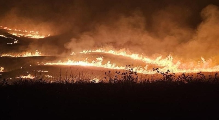 Diyarbakır ve Mardin'deki yangınının kaynağı belli oldu