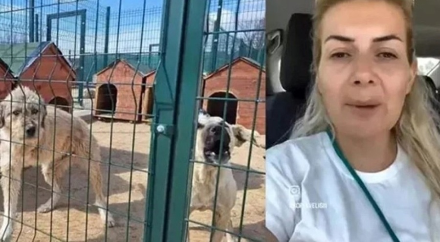 'Köpekvelisi' hesabının sahibi Buket Özgünlü tahliye edildi