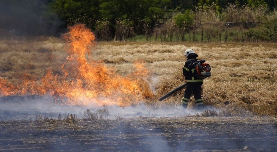 Tarlada çıkan yangın korkuttu