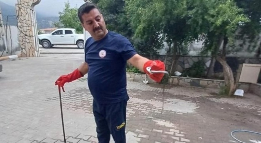 Kız öğrenci yurdunda yılan paniği