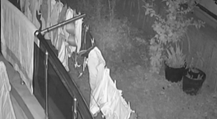 Balkonda asılı olan kadın iç çamaşırlarını çaldı!