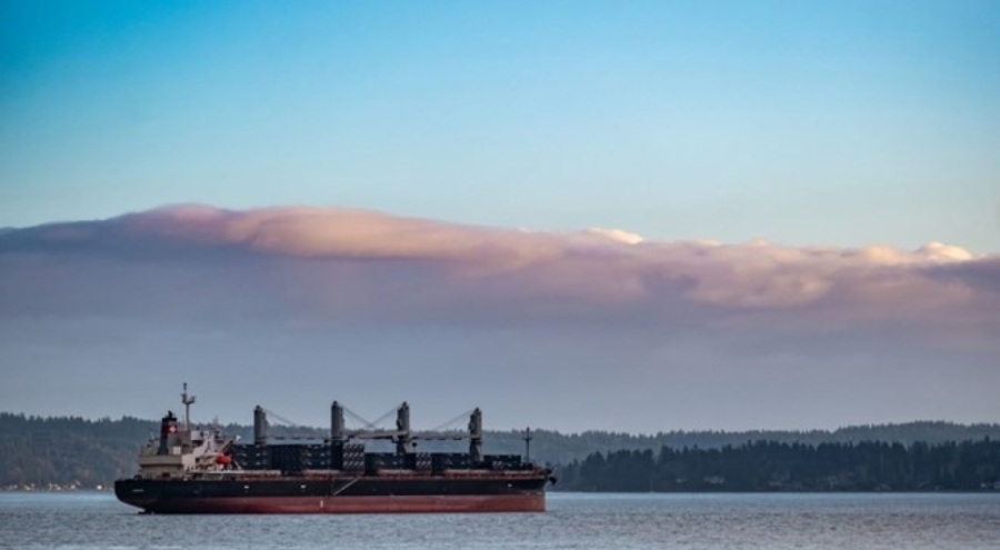 Japonya'da 200 milyon tonu aşkın nadir toprak metali bulundu