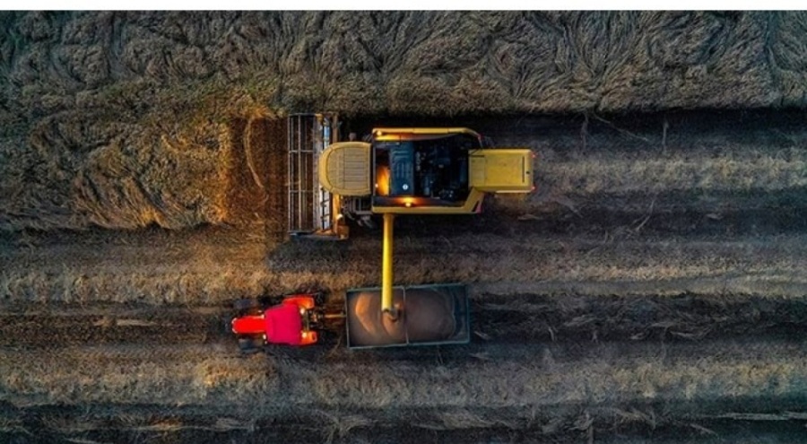 Hububat alım bedelleri üreticilerin hesaplarında