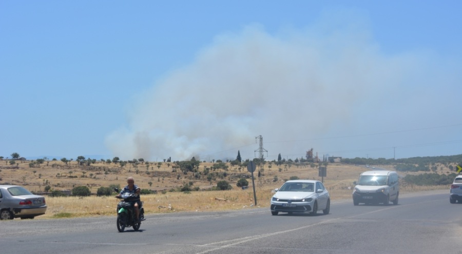Ayvalık'ta çöp depolama alanında çıkan yangına müdahale ediliyor