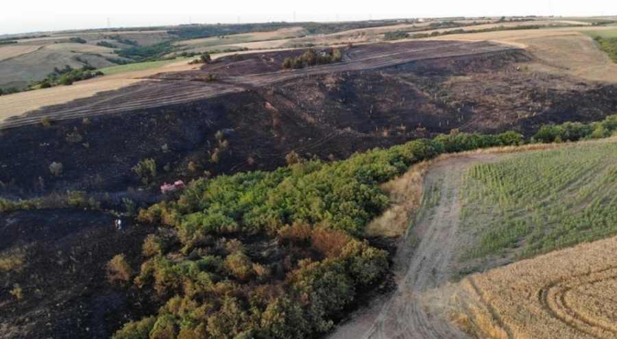 Silivri'de buğday tarlasında çıkan yangın söndürüldü