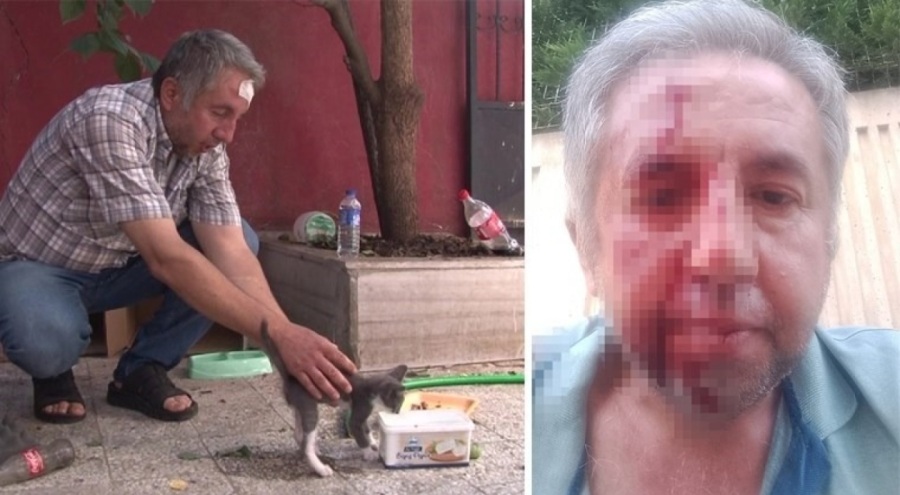Sokak hayvanlarını beslediği için dövüldü
