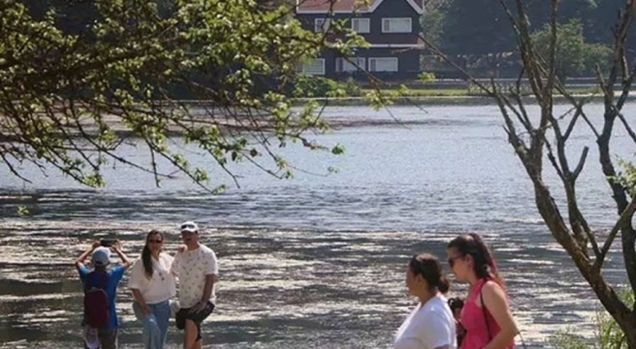 Bolu Valiliği'nden açıklama! 1 Temmuz itibarıyla ormanlara giriş yasaklandı