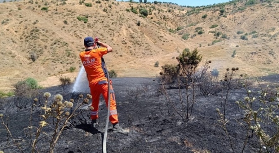 Bingöl'de ormanlık alanda yangın çıktı