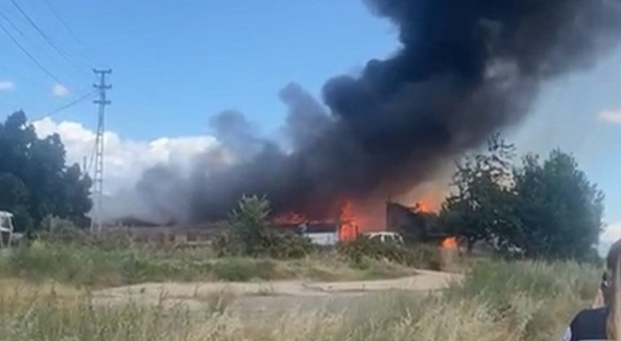Tokat'ta ahır yangını: 500 büyükbaş tahliye edildi