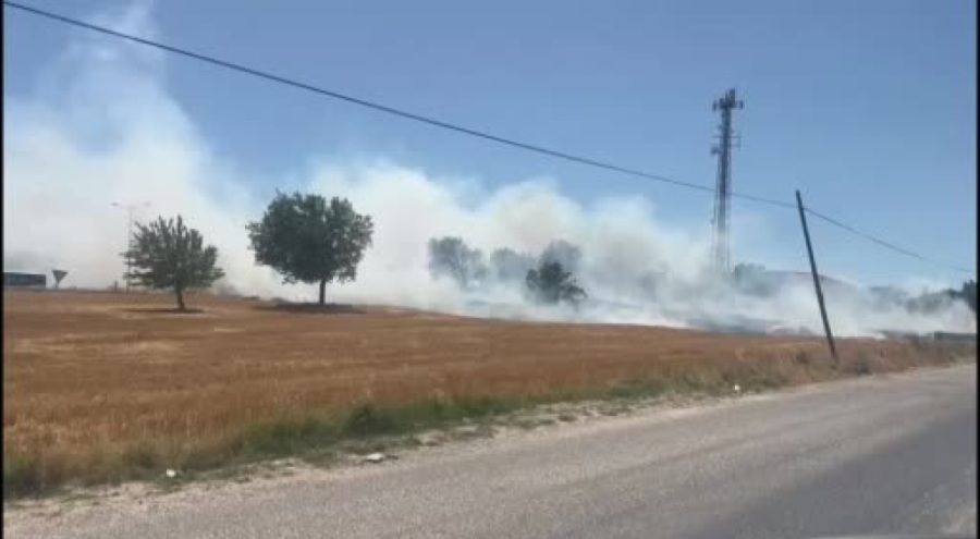 Bursa'da yangın! Rüzgar şiddetini artırıyor