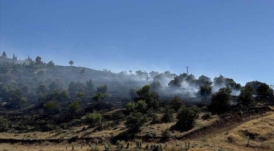 Elazığ'da çıkan yangında 45 dönüm ormanlık ve ekili alan zarar gördü