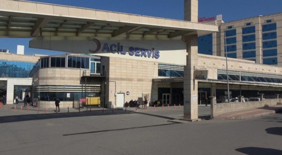 Siirt'te yılan sokması sonucu şahıs hastaneye sevk edildi