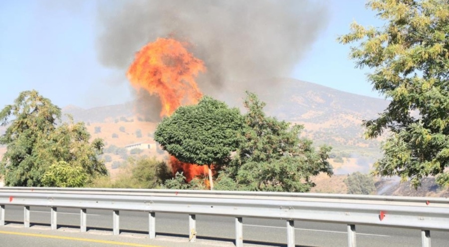 Elazığ'da örtü ve bahçe yangını