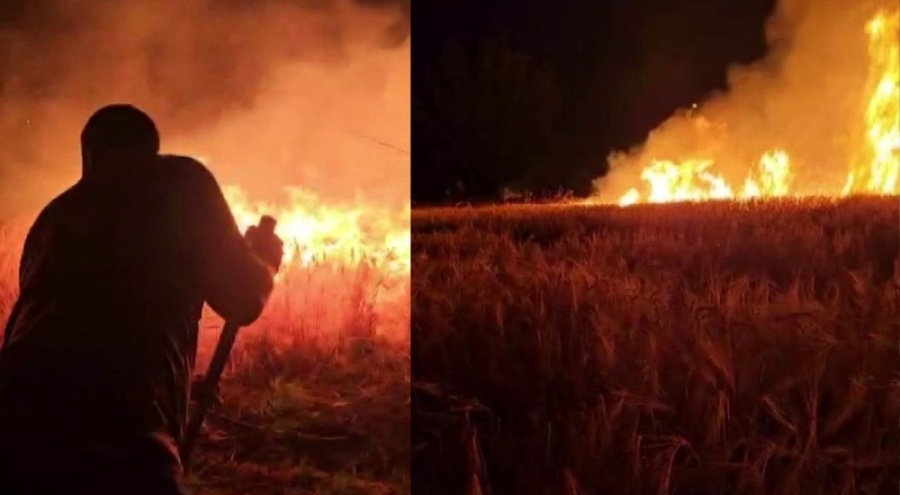 Elektrik direğinden çıkan kıvılcım yangına neden oldu