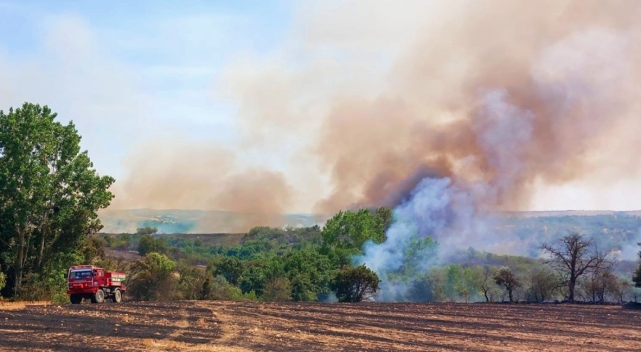 Yangın tarlaya ve ormana sıçradı