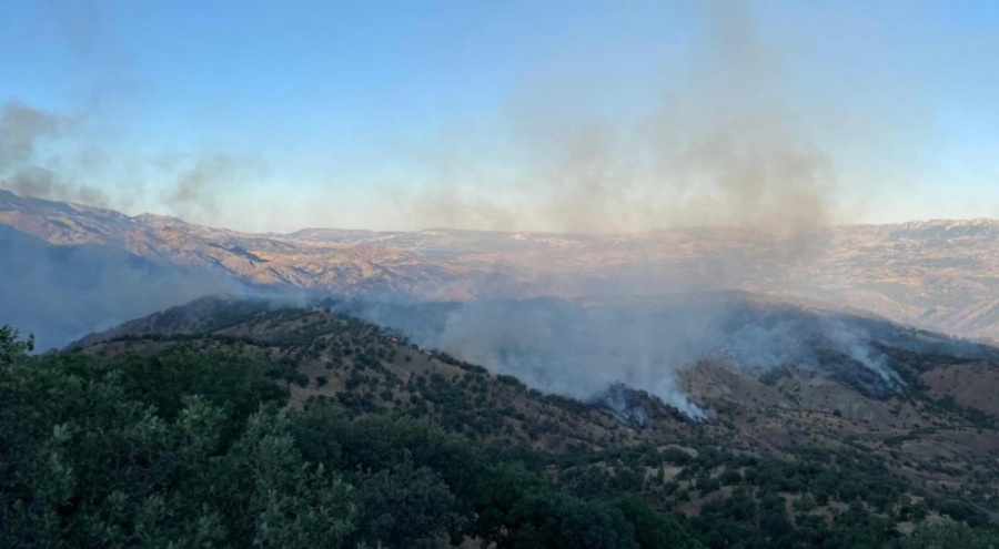 Adıyaman'da yangın! Havadan ve karadan müdahale ediliyor