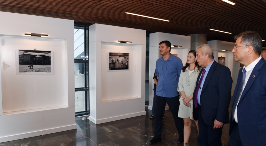 Osmangazi'nin ödüllü fotoğrafçısından sokak hayvanları sergisi