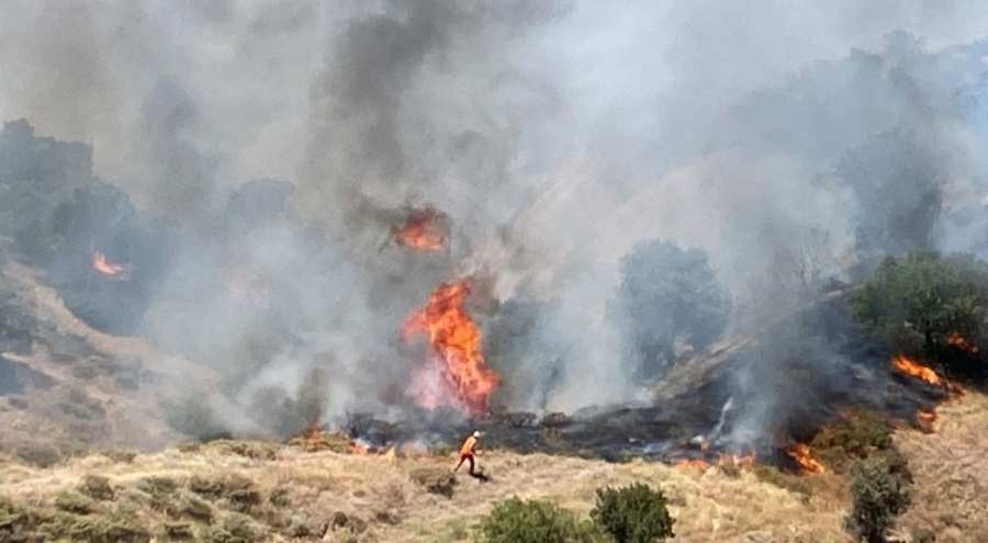 Bingöl'de iki ilçede orman yangını