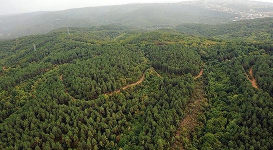 Valilik açıkladı: Kent genelinde yasaklandı