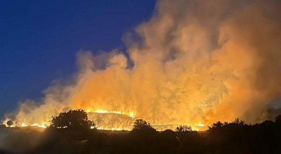 İzmir'de çıkan orman yangını 3 saatte söndürüldü