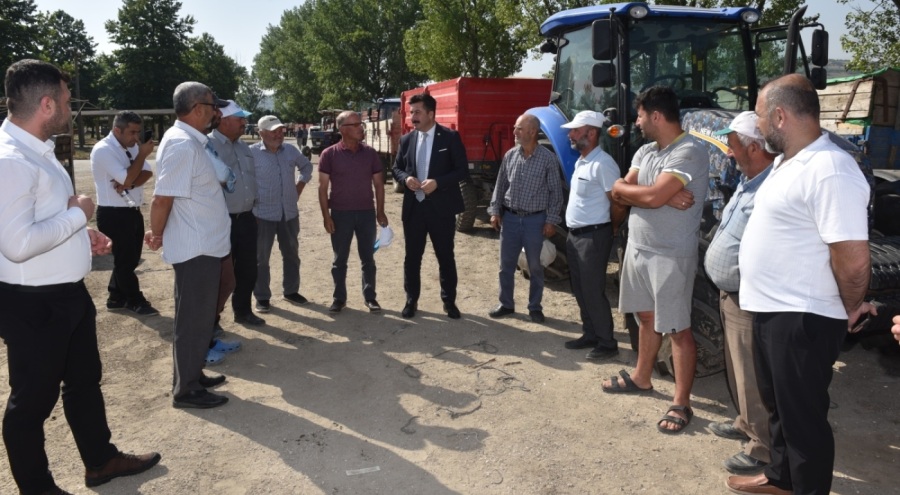 TMO buğday ve arpa alımına başladı