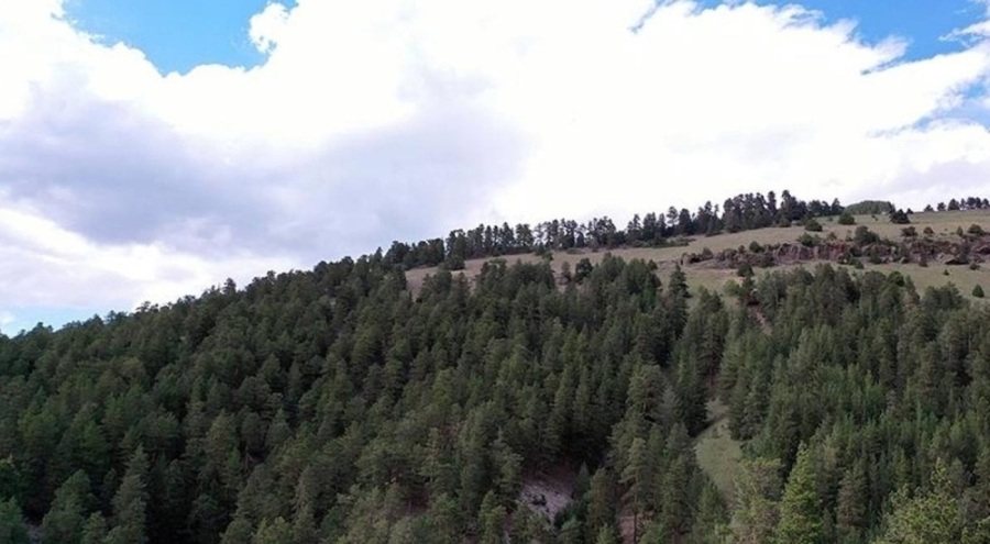 Bu ilde ormanlara girişler yasaklandı