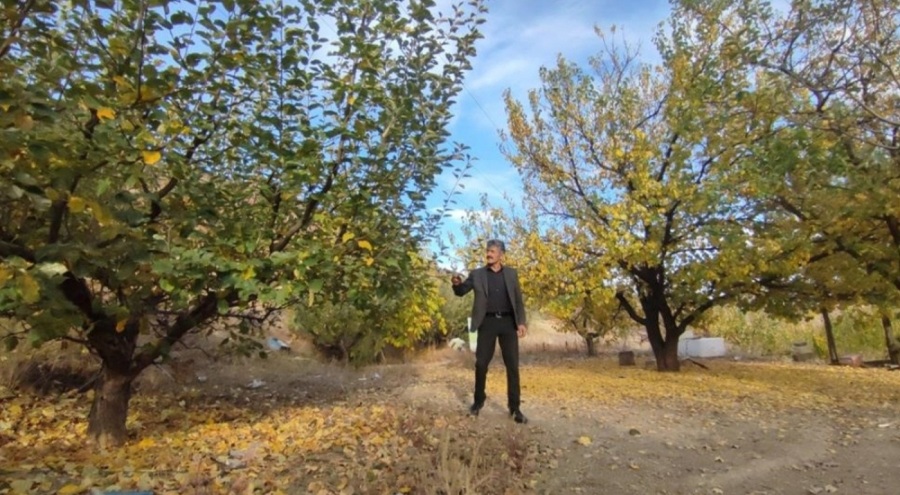 Erzurum'da ormanlık alanlara girişler 15 Ekim'e kadar yasaklandı