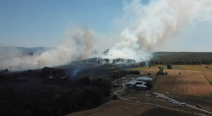 Bursa'daki yangın, BUÜ kampüsünün de içinde olduğu ormana sıçradı