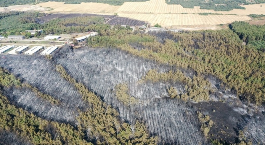 Bursa'da kampüsteki yanan ormanlık alan havadan görüntülendi