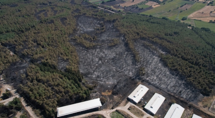 Bursa'daki yangının bilançosu ortaya çıktı! 897 dekar orman ve biçilmiş alan küle döndü