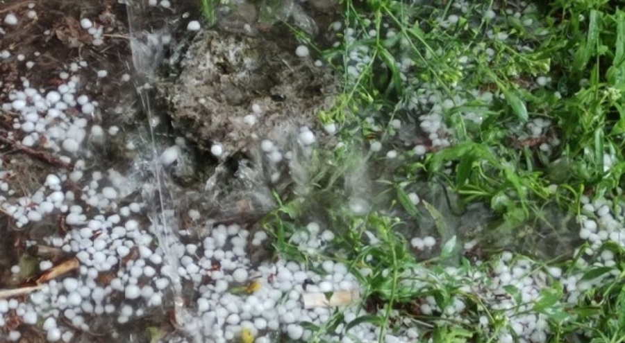 Ardahan'da sağanak ve dolu etkili oldu