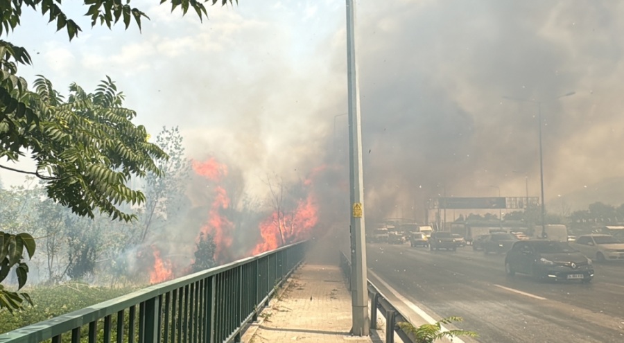 Bursa'da ağaçlık alanda yangın!