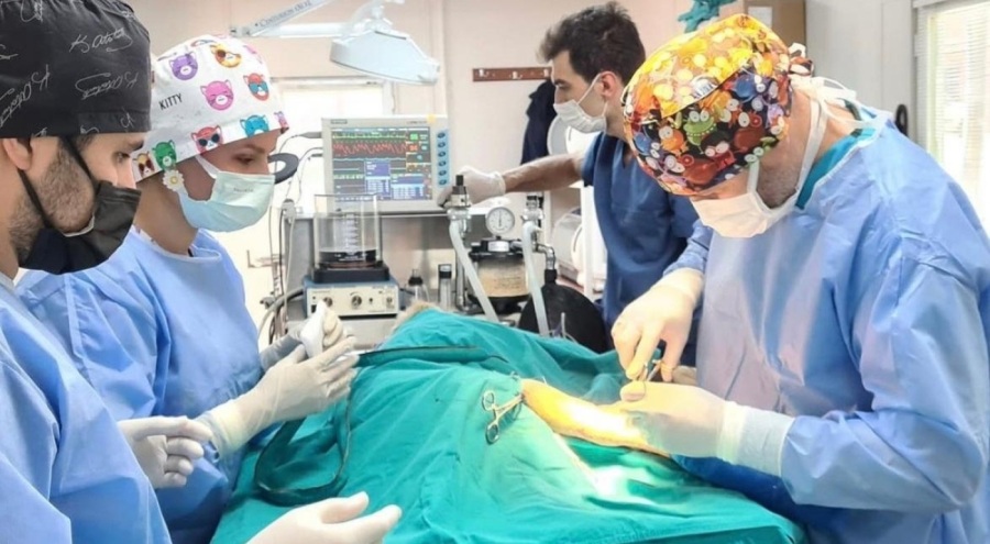 Bursa'da en fazla kısırlaştırma yapan belediye Osmangazi oldu