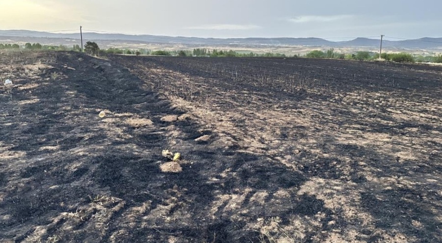 Kastamonu'da çıkan yangında 25 dönümlük arpa tarlası küle döndü