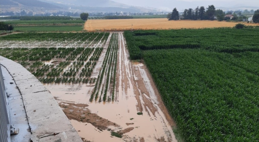 Bursa Ovası'nda binlerce dönüm ekili alan sular altında kaldı!
