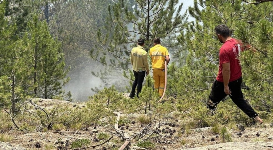 Kastamonu'da iki orman yangını kontrol altına alındı