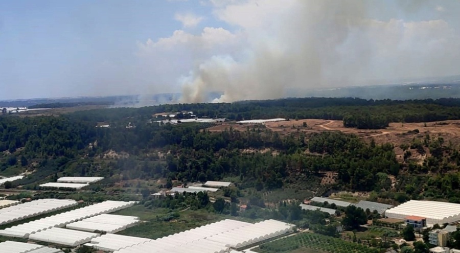 Antalya'da orman yangını çıktı