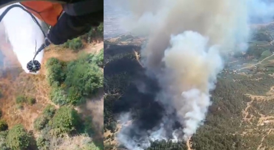 İzmir'de orman yangını