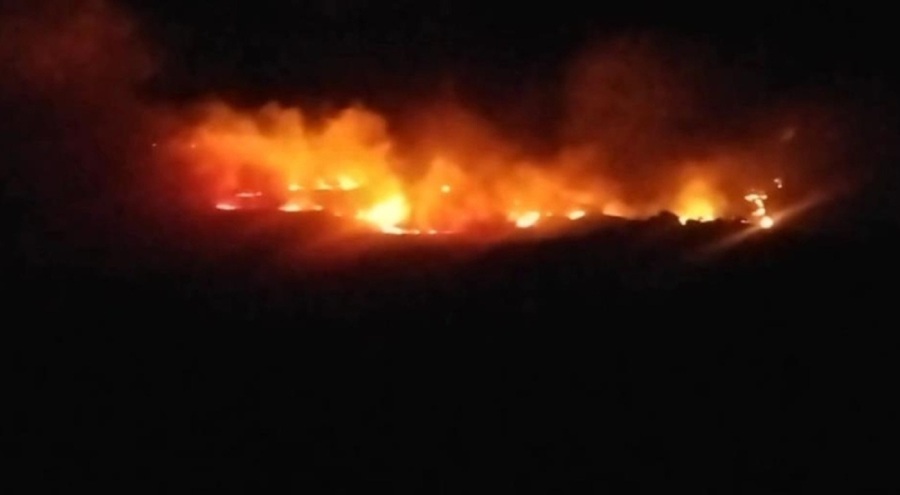 Tunceli'de otluk ve ağaçlık alanda yangın