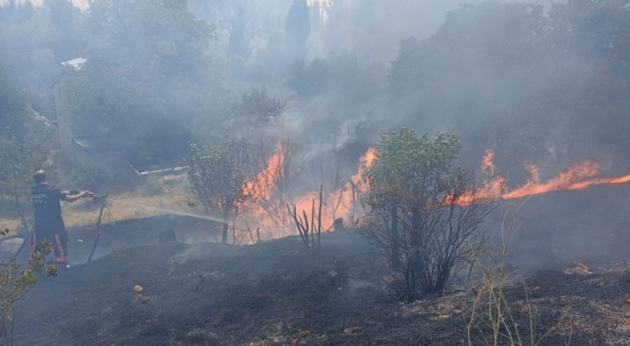 Malatya'da bahçelik alanda yangın