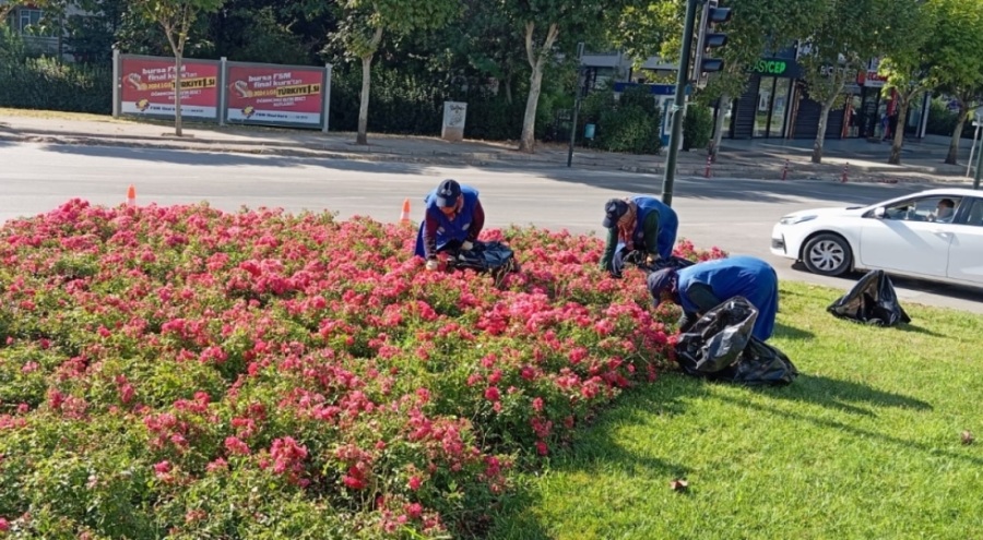 Bursa estetikle buluşuyor! Çalışmalar aralıksız sürüyor