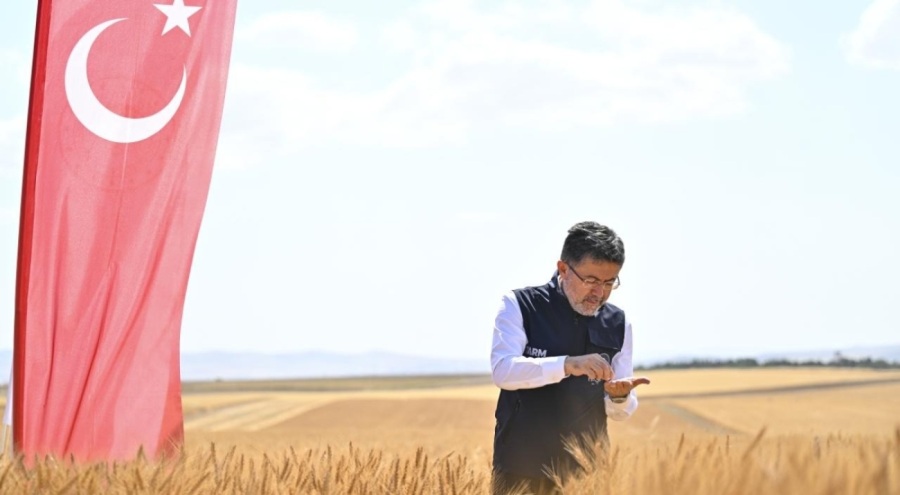 Bakan Yumaklı yerli ve milli buğday çeşitlerinin hasadına katıldı