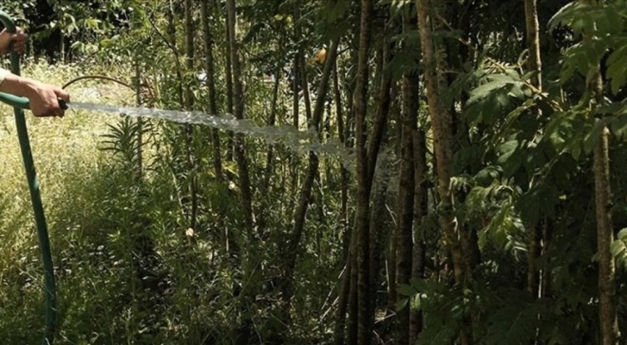 İçme suyuyla bahçe sulayanlar dikkat! Abonelikleri iptal ediliyor