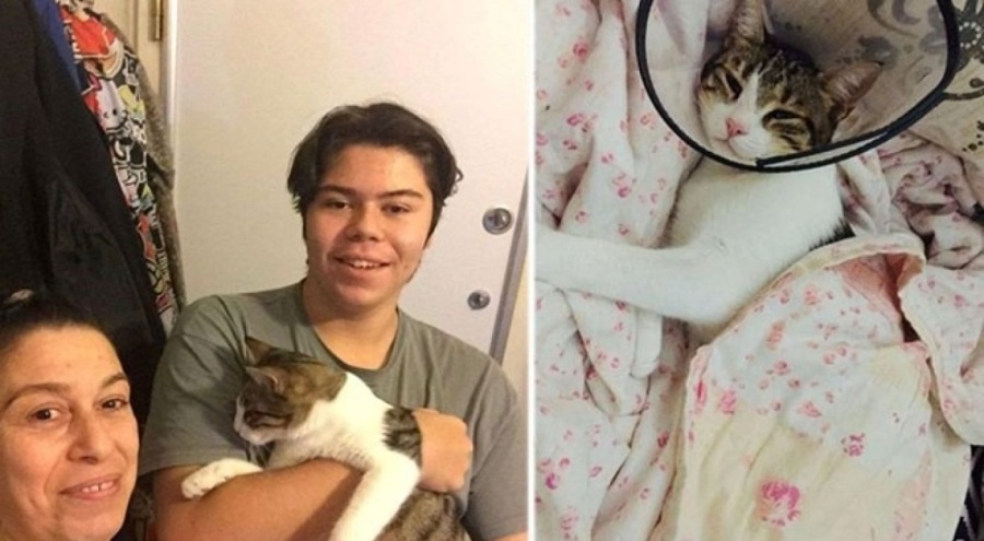 Şirine'yi tekmeleyerek 4. kattan atan sanığa hapis cezası