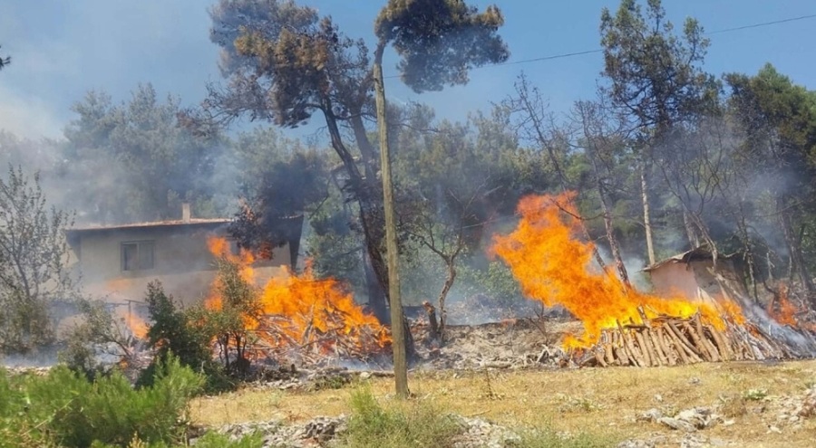 Balıkesir'de çıkan orman yangınına müdahale ediliyor